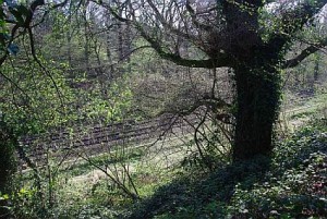 Eisenbahntrasse durch das Wurmtal, hier massive Böschung, Höhe Straß - neben den Gleisen Ausbau für den Radweg kaum möglich (c) Marika Jungblut